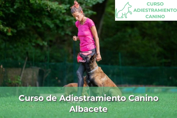 Curso de Adiestramiento Canino en Albacete