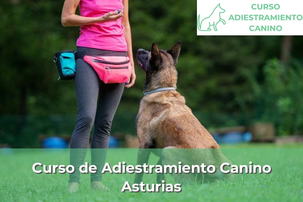 Curso de Adiestramiento Canino en Asturias