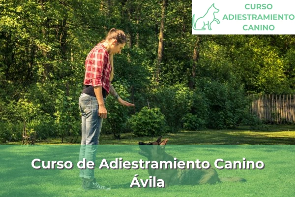 Curso de Adiestramiento Canino en Ávila
