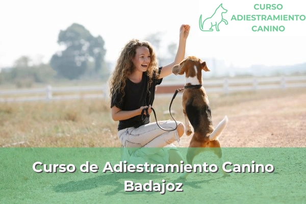 Curso de Adiestramiento Canino en Badajoz