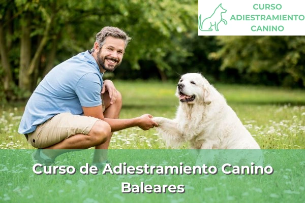 Curso de Adiestramiento Canino en Baleares