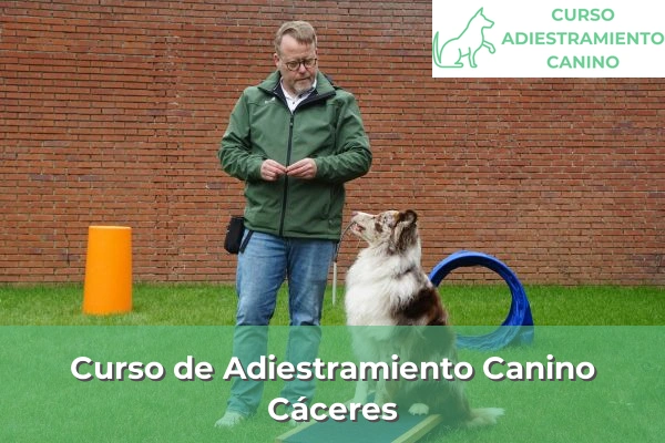 Curso de Adiestramiento Canino en Cáceres