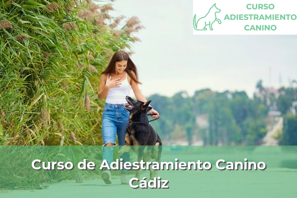 Curso de Adiestramiento Canino en Cádiz