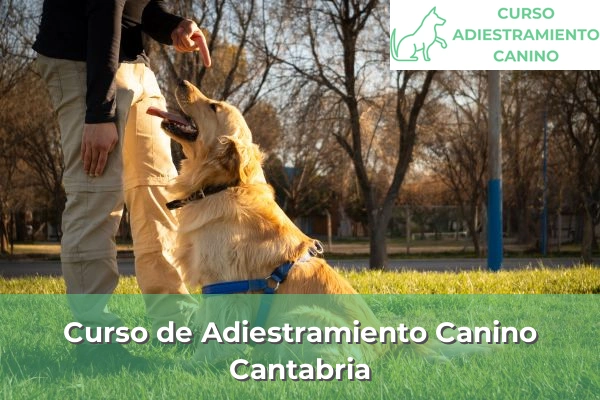 Curso de Adiestramiento Canino en Cantabria