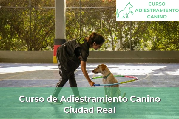 Curso de Adiestramiento Canino en Ciudad Real