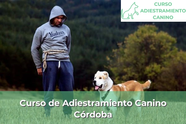 Curso de Adiestramiento Canino en Córdoba
