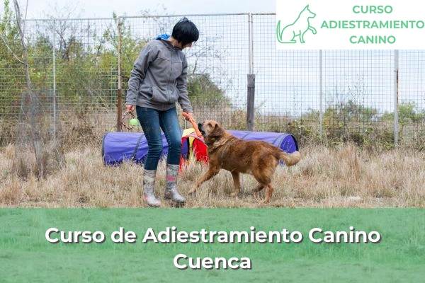 Curso de Adiestramiento Canino en Cuenca