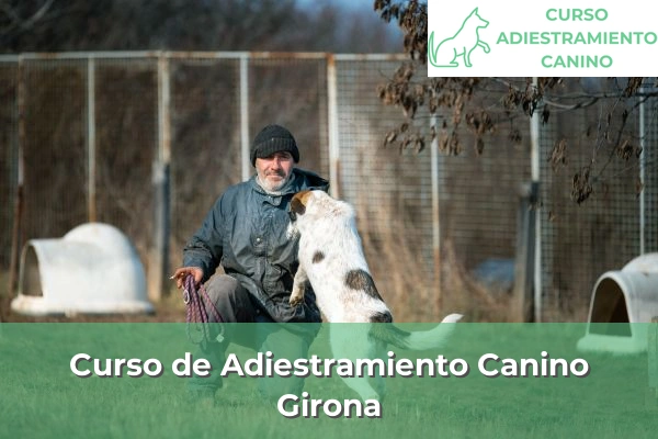 Curso de Adiestramiento Canino en Girona