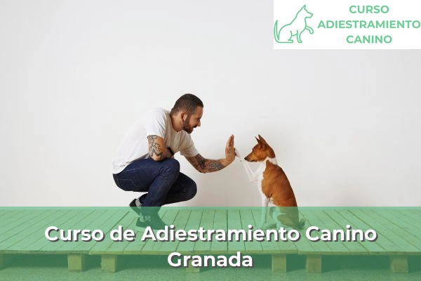 Curso de Adiestramiento Canino en Granada