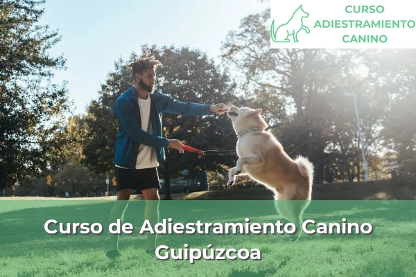 Curso de Adiestramiento Canino en Guipúzcoa