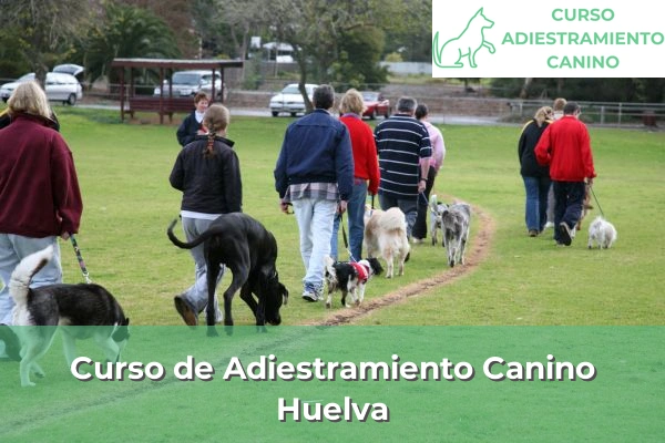 Curso de Adiestramiento Canino en Huelva