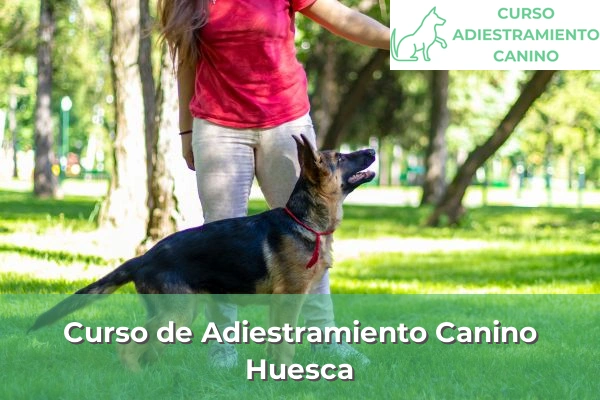 Curso de Adiestramiento Canino en Huesca