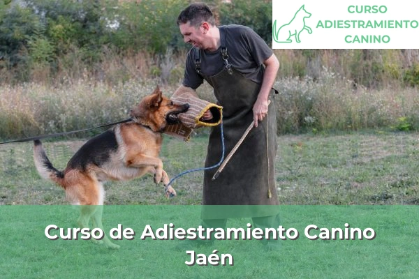 Curso de Adiestramiento Canino en Jaén