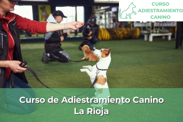 Curso de Adiestramiento Canino en La Rioja