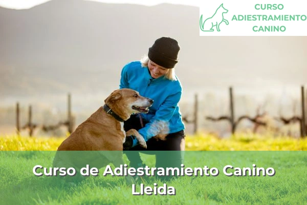 Curso de Adiestramiento Canino en Lleida