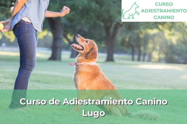 Curso de Adiestramiento Canino en Lugo