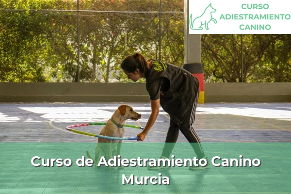 Curso de Adiestramiento Canino en Murcia