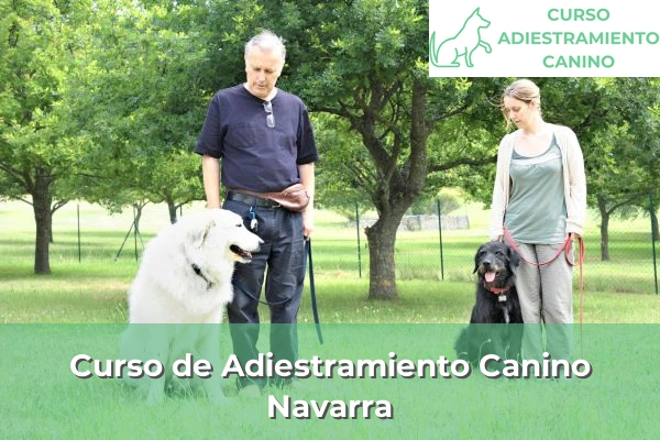 Curso de Adiestramiento Canino en Navarra