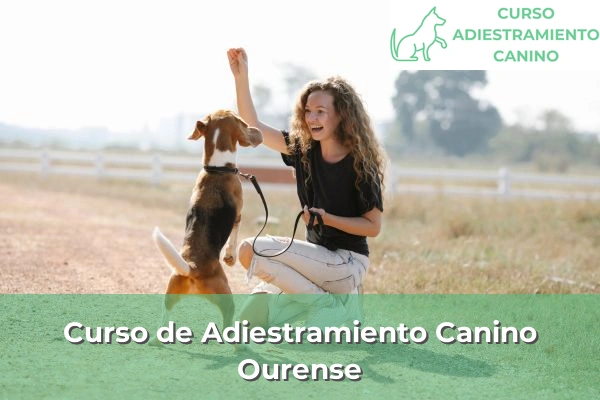 Curso de Adiestramiento Canino en Ourense