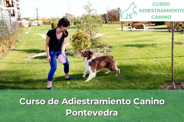Curso de Adiestramiento Canino en Pontevedra