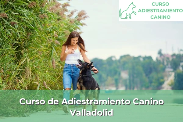 Curso de Adiestramiento Canino en Valladolid