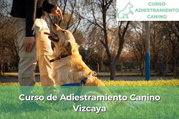 Curso de Adiestramiento Canino en Vizcaya