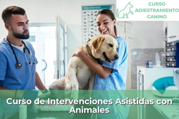 Curso de Intervenciones Asistidas con Animales