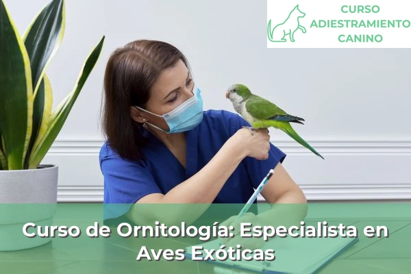 Curso de Ornitología: Especialista en Aves Exóticas