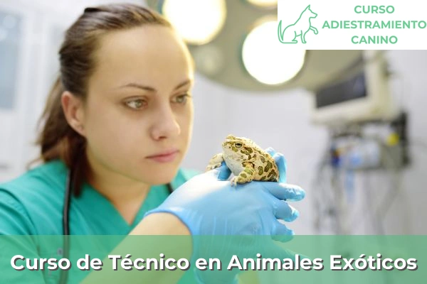 Curso de Técnico en Animales Exóticos